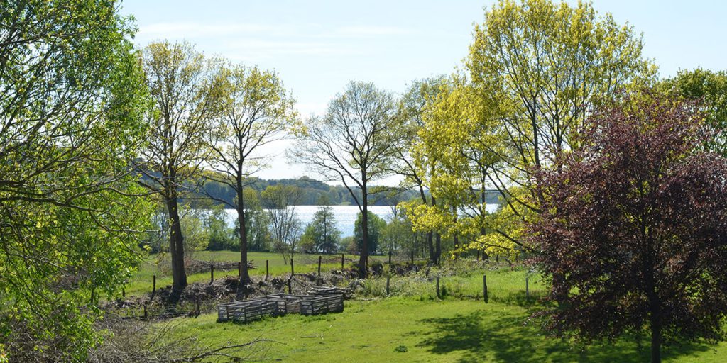 Blick von der Loggia der Ferienwohnung 1